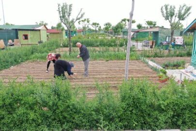 Hobi bahçesi dönemi sona erdi