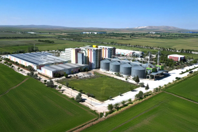 Golda Gıda’nın halka arzı onaylandı