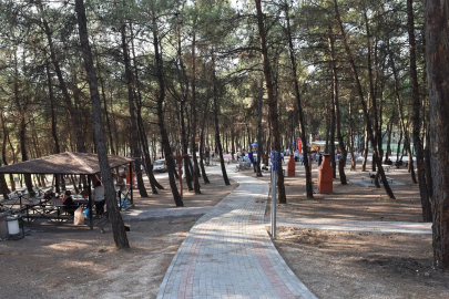 Bursa'da ormanlara giriş yasağı 15 Ekim'e kadar sürecek