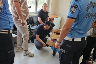 Zabıtadan sağlıksız et operasyonu